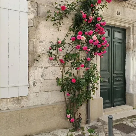 Well Placed With Courtyard 300m From Port * Saint-Martin-de-Ré